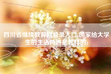 四川省继续教育网登录入口(国家给大学生的生活待遇是怎样的)