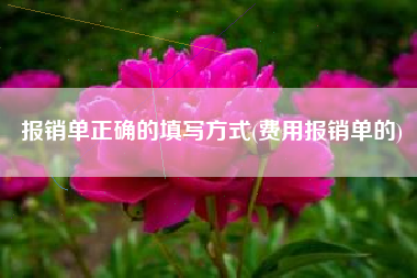 报销单正确的填写方式(费用报销单的)