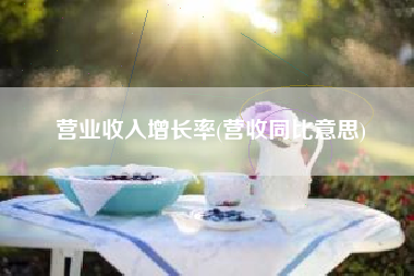 营业收入增长率(营收同比意思)