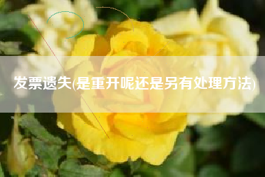 发票遗失(是重开呢还是另有处理方法)