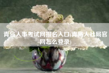 青岛人事考试网报名入口(青岛人社局官网怎么登录)