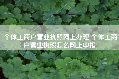 个体工商户营业执照网上办理(个体工商户营业执照怎么网上申报)