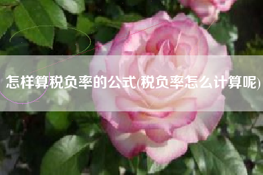 详细阅读:怎样算税负率的公式(税负率怎么计算呢) 怎样算税负率的公式(税负率怎么计算呢)