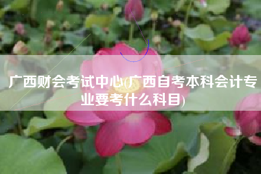 广西财会考试中心(广西自考本科会计专业要考什么科目)