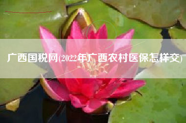 广西国税网(2022年广西农村医保怎样交)