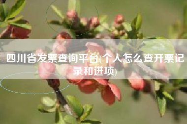 四川省发票查询平台(个人怎么查开票记录和进项)