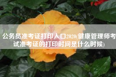 详细阅读:公务员准考证打印入口2020(健康管理师考试准考证的打印时间是什么时候) 公务员准考证打印入口2020(健康管理师考试准考证的打印时间是什么时候)