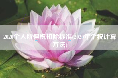 2020个人所得税扣除标准(2020年个税计算方法)