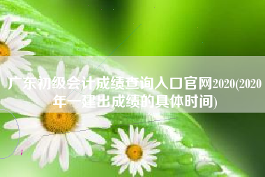 广东初级会计成绩查询入口官网2020(2020年一建出成绩的具体时间)