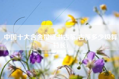 中国十大含金量证书古筝(古筝多少级算特长)