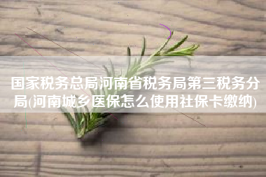 国家税务总局河南省税务局第三税务分局(河南城乡医保怎么使用社保卡缴纳)