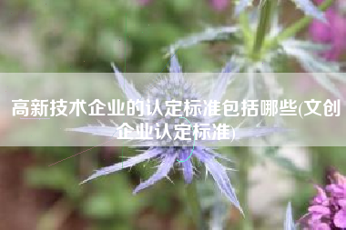 高新技术企业的认定标准包括哪些(文创企业认定标准)