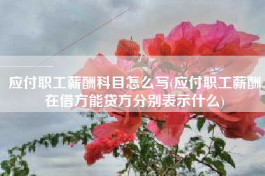 应付职工薪酬科目怎么写(应付职工薪酬在借方能贷方分别表示什么)