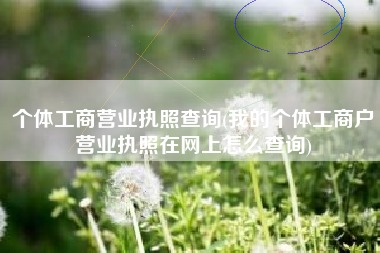 个体工商营业执照查询(我的个体工商户营业执照在网上怎么查询)