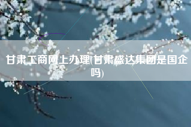 甘肃工商网上办理(甘肃盛达集团是国企吗)