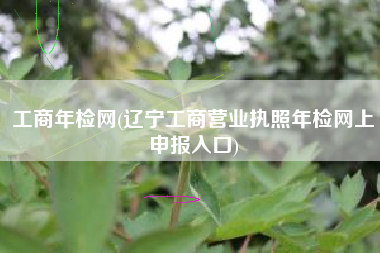 工商年检网(辽宁工商营业执照年检网上申报入口)