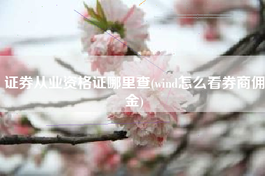 详细阅读:证券从业资格证哪里查(wind怎么看券商佣金) 证券从业资格证哪里查(wind怎么看券商佣金)