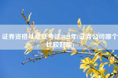 证券资格从业证考试2022年(证券公司哪个比较好呢)