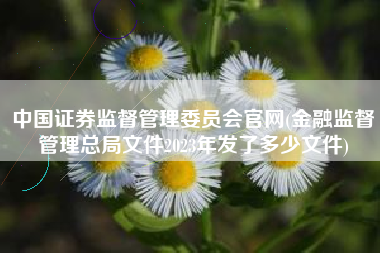 中国证券监督管理委员会官网(金融监督管理总局文件2023年发了多少文件)