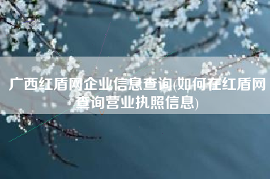 详细阅读:广西红盾网企业信息查询(如何在红盾网查询营业执照信息) 广西红盾网企业信息查询(如何在红盾网查询营业执照信息)