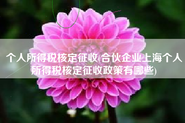 详细阅读:个人所得税核定征收(合伙企业上海个人所得税核定征收政策有哪些) 个人所得税核定征收(合伙企业上海个人所得税核定征收政策有哪些)