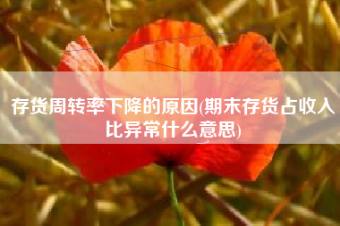 存货周转率下降的原因(期末存货占收入比异常什么意思)