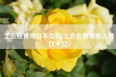 工会经费可以不交吗(工会会费哪些人可以不交)