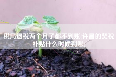 详细阅读:税局退税两个月了都不到账(许昌的契税补贴什么时候到账) 税局退税两个月了都不到账(许昌的契税补贴什么时候到账)