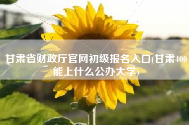 甘肃省财政厅官网初级报名入口(甘肃400能上什么公办大学)
