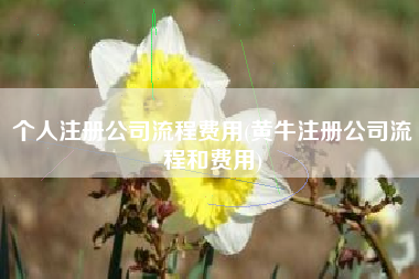 个人注册公司流程费用(黄牛注册公司流程和费用)