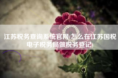 详细阅读:江苏税务查询系统官网(怎么在江苏国税电子税务局做税务登记) 江苏税务查询系统官网(怎么在江苏国税电子税务局做税务登记)