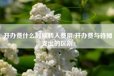 开办费什么时候转入费用(开办费与待摊支出的区别)