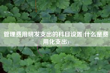 管理费用研发支出的科目设置(什么是费用化支出)