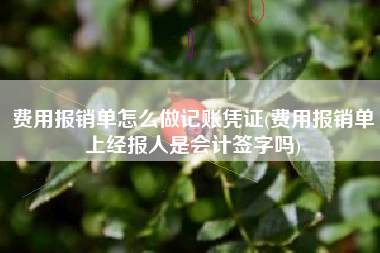 详细阅读:费用报销单怎么做记账凭证(费用报销单上经报人是会计签字吗) 费用报销单怎么做记账凭证(费用报销单上经报人是会计签字吗)