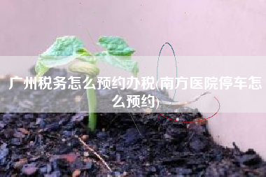 详细阅读:广州税务怎么预约办税(南方医院停车怎么预约) 广州税务怎么预约办税(南方医院停车怎么预约)