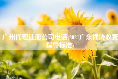 广州代理注册公司电话(2021广东律协收费指导标准)