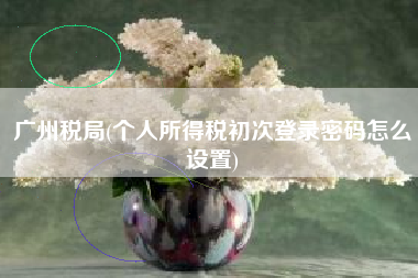 详细阅读:广州税局(个人所得税初次登录密码怎么设置) 广州税局(个人所得税初次登录密码怎么设置)