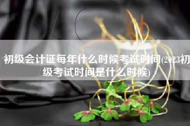 初级会计证每年什么时候考试时间(2023初级考试时间是什么时候)