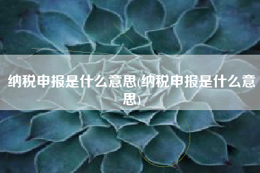 详细阅读:纳税申报是什么意思(纳税申报是什么意思) 纳税申报是什么意思(纳税申报是什么意思)