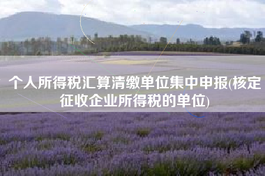 详细阅读:个人所得税汇算清缴单位集中申报(核定征收企业所得税的单位) 个人所得税汇算清缴单位集中申报(核定征收企业所得税的单位)