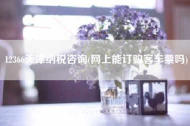 12366天津纳税咨询(网上能订购客车票吗)