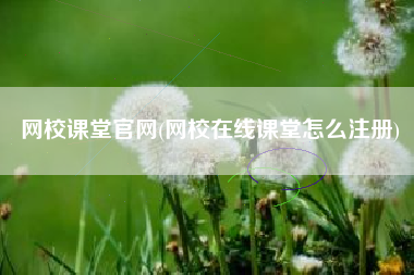 网校课堂官网(网校在线课堂怎么注册)