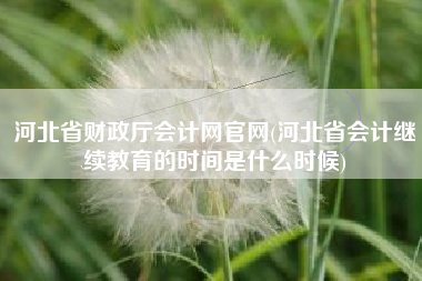 河北省财政厅会计网官网(河北省会计继续教育的时间是什么时候)