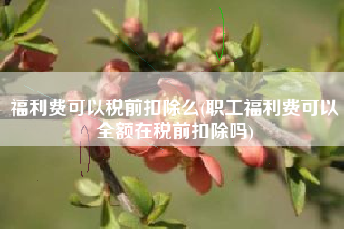 福利费可以税前扣除么(职工福利费可以全额在税前扣除吗)