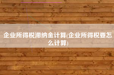 详细阅读:企业所得税滞纳金计算(企业所得税要怎么计算) 企业所得税滞纳金计算(企业所得税要怎么计算)