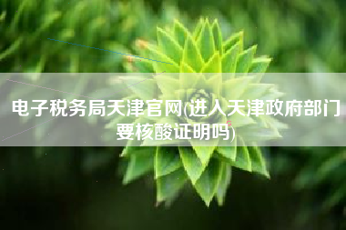 电子税务局天津官网(进入天津政府部门要核酸证明吗)
