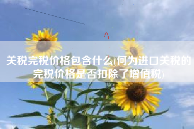关税完税价格包含什么(何为进口关税的完税价格是否扣除了增值税)