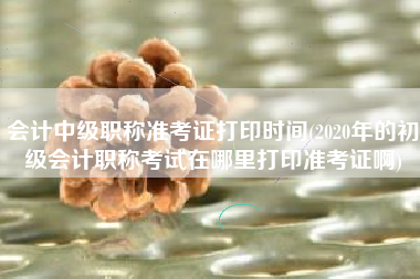 详细阅读:会计中级职称准考证打印时间(2020年的初级会计职称考试在哪里打印准考证啊) 会计中级职称准考证打印时间(2020年的初级会计职称考试在哪里打印准考证啊)
