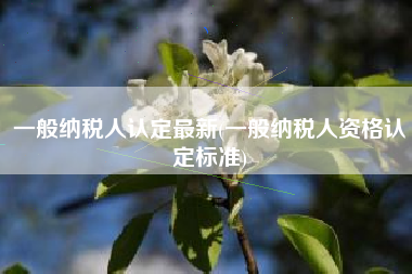 一般纳税人认定最新(一般纳税人资格认定标准)