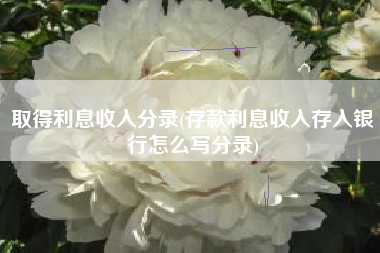 取得利息收入分录(存款利息收入存入银行怎么写分录)